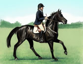 Jumper, Equine Art - Approach