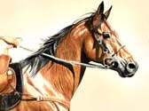 Western, Equine Art - Eager