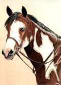 Hunter, Equine Art - Sweetie