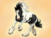 Gypsy Vanner, Equine Art - Tommie 2