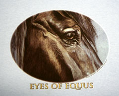 Eyes of Eqqus