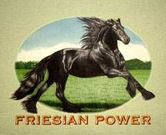 Friesian Power