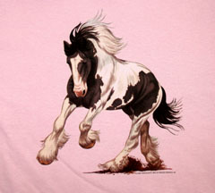 Gypsy Vanner