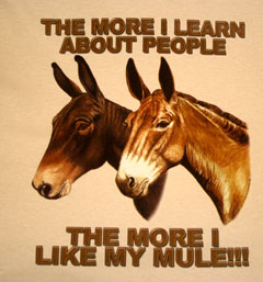 Mule Design