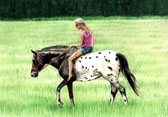 Western, Equine Art - Bareback