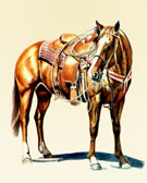 Western, Equine Art - Cowpony
