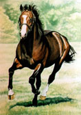 Thoroughbred, Equine Art - Horsepower