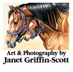 Art and Photography by Janet Griffin-Scott