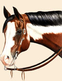 Western, Equine Art - Paint