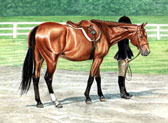 Hunter, Equine Art - Ringside