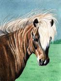 Pony, Equine Art - Trigger
