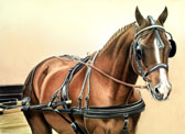 Carriage Driving, Equine Art - Waiting